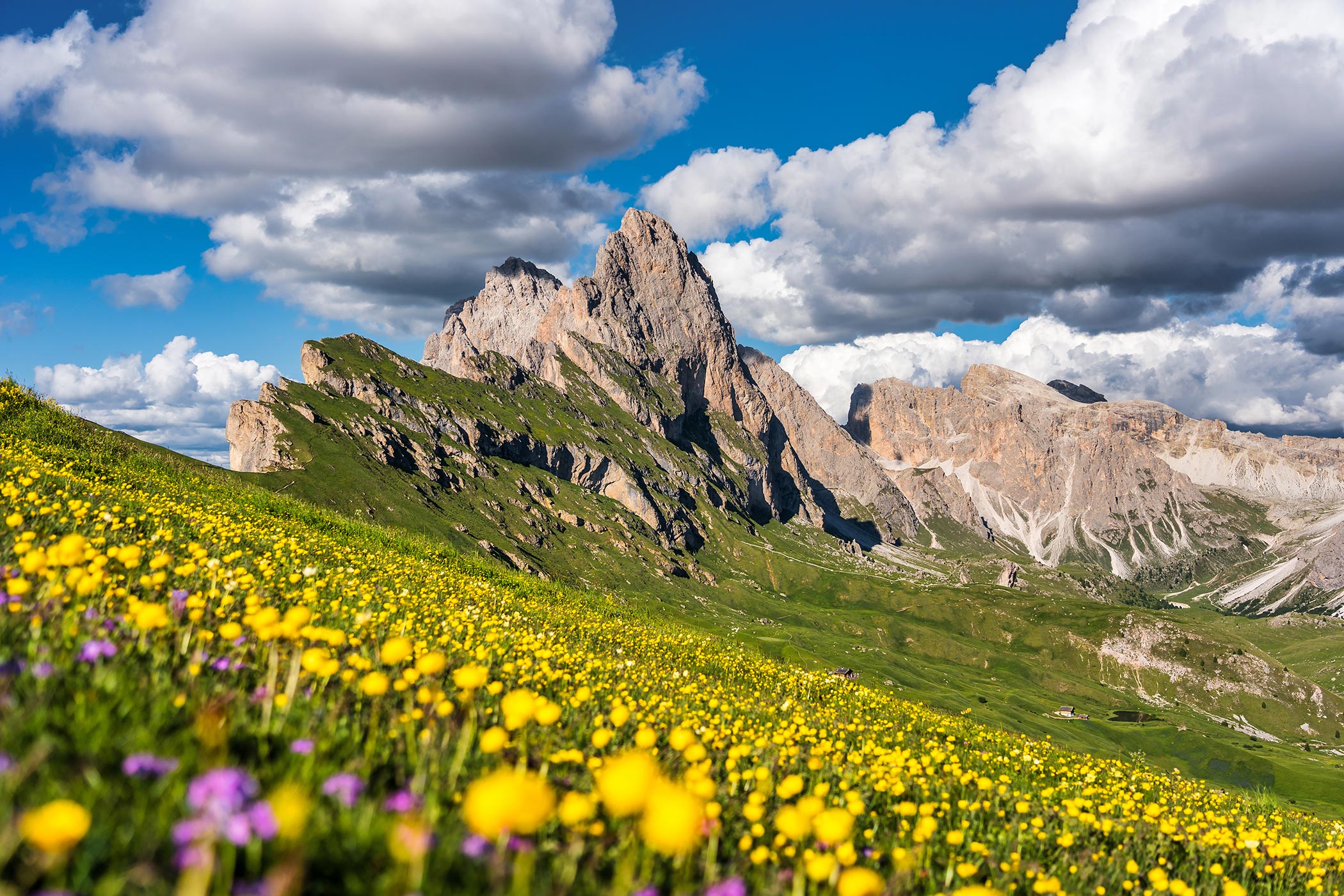 Autumn on the Alpe di Siusi - Seiser Alm